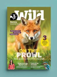 Paper Rhino redesign of The Wildlife Trusts magazines. UK-wide relaunch as Design Consultants and co-hosting a central seminar to upskill train staff in magazine design.